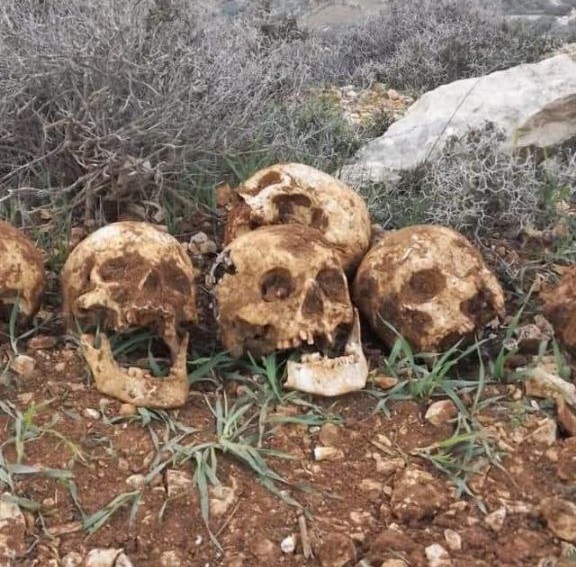 العثور على 11 رفات في منطقة ضواحي القدس يشتبه أنها تعود لجنود (2)